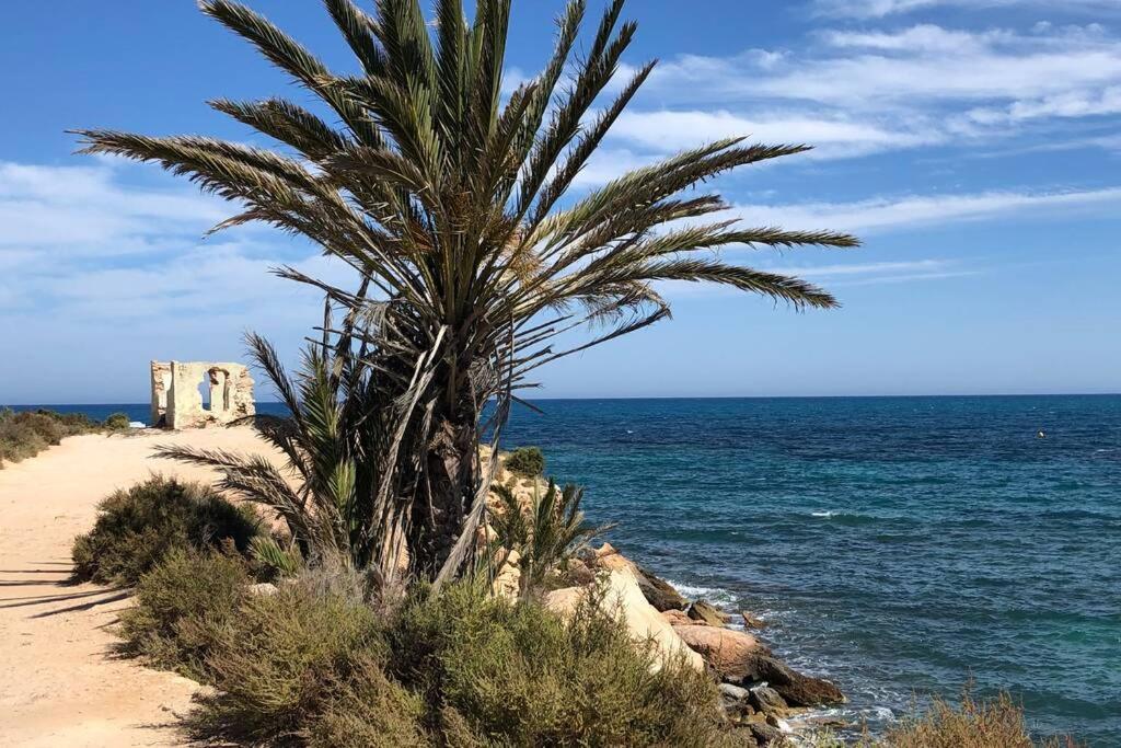 Oasis Beach Dream Holiday Гвардамар-дель-Сегура Экстерьер фото